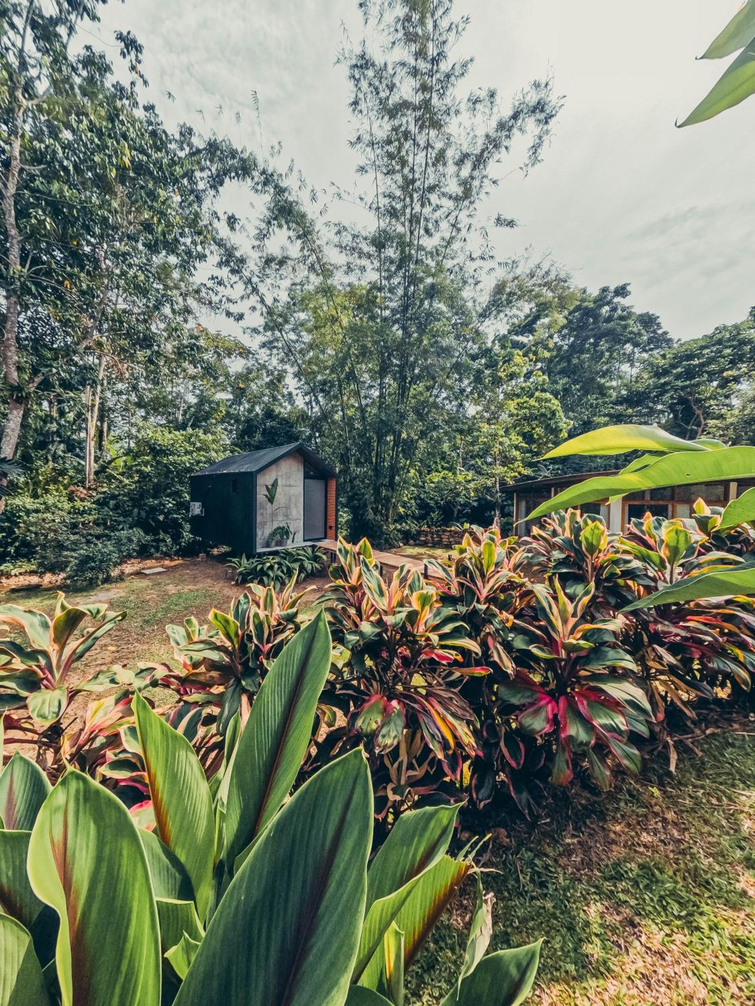 Tagua Lodge Tena Exteriör bild